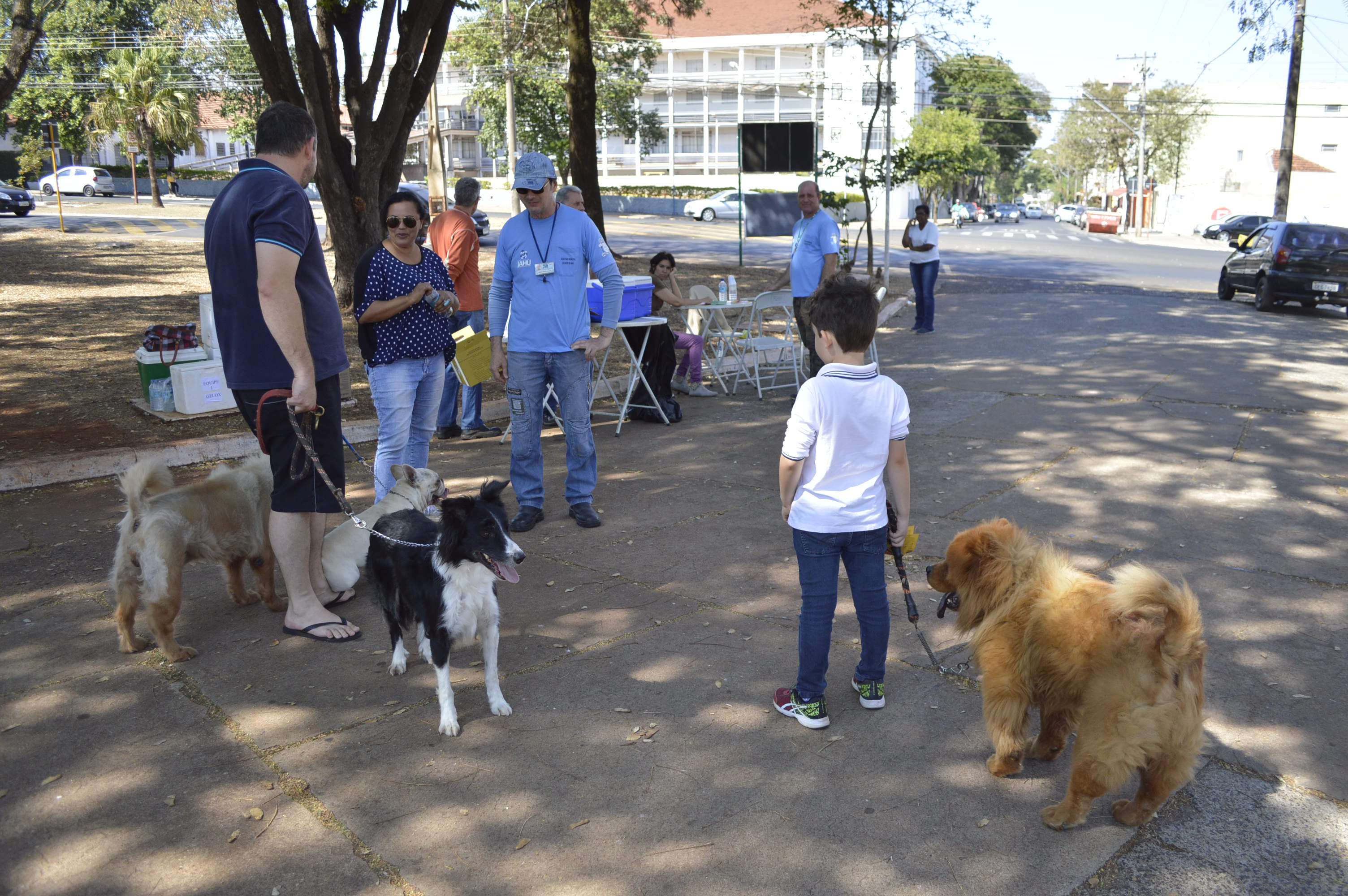 Campanha de Vacinação Antirrábica 2018: encerramento na zona urbana