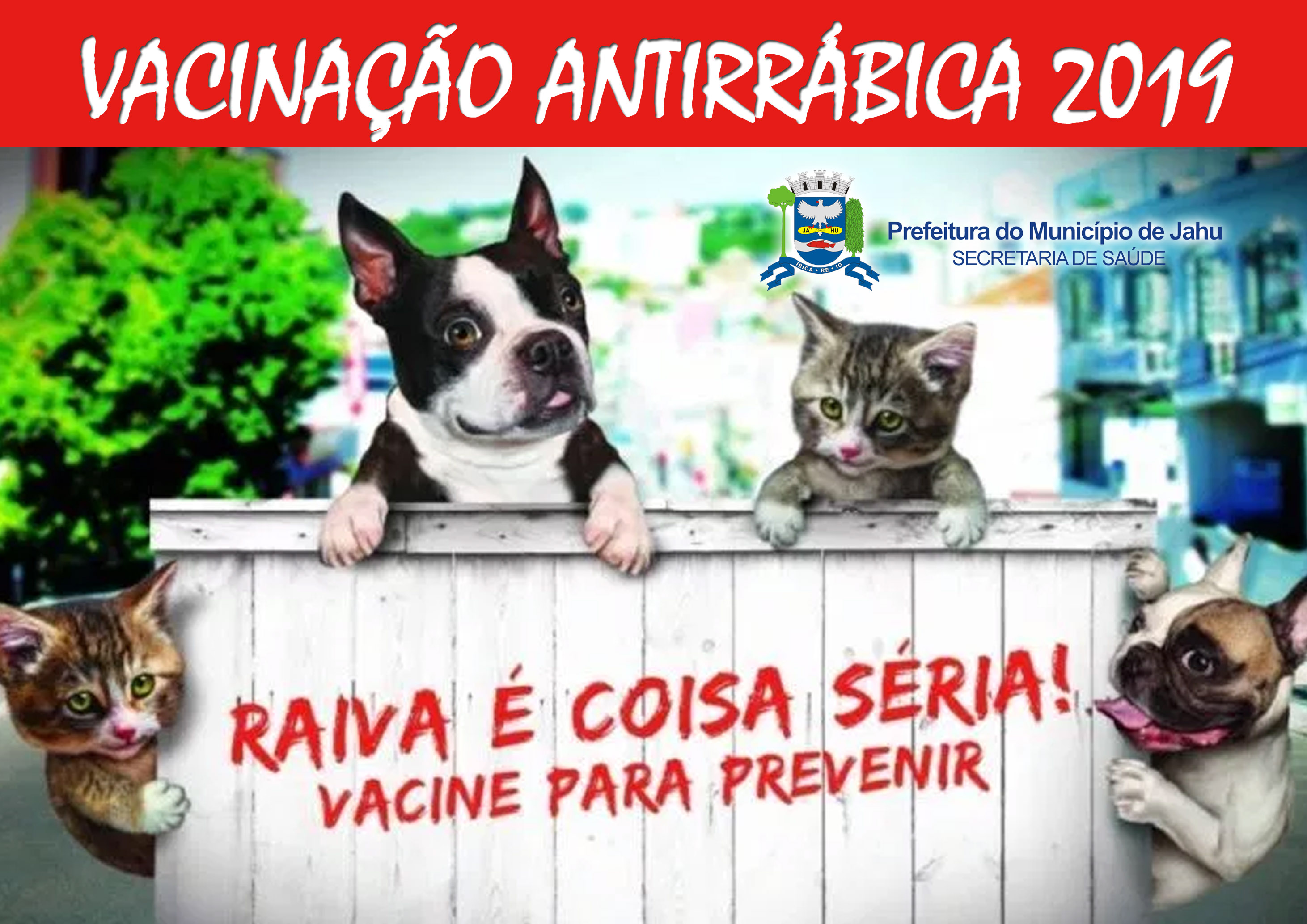 Campanha de Vacinação Antirrábica 2019: vacinação na zona urbana até sábado