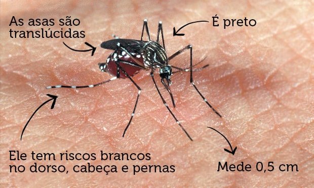 Secretaria de Saúde alerta: cuidados com os criadouros do mosquito Aedes Aegypti devem redobrar no período de chuvas
