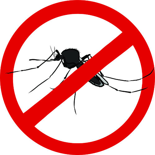 Prevenir é a melhor forma de evitar a dengue