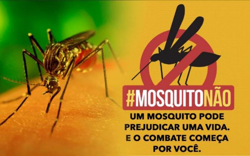 Intensificação casa a casa no combate ao mosquito Aedes Aegypti - período de 17 a 21 de agosto