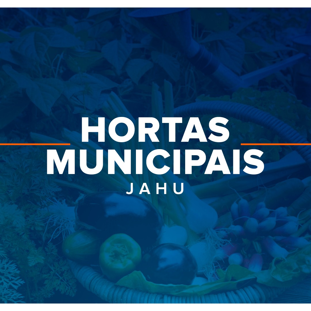 Hortas Municipais: produtos à venda na quinta-feira (24/06)