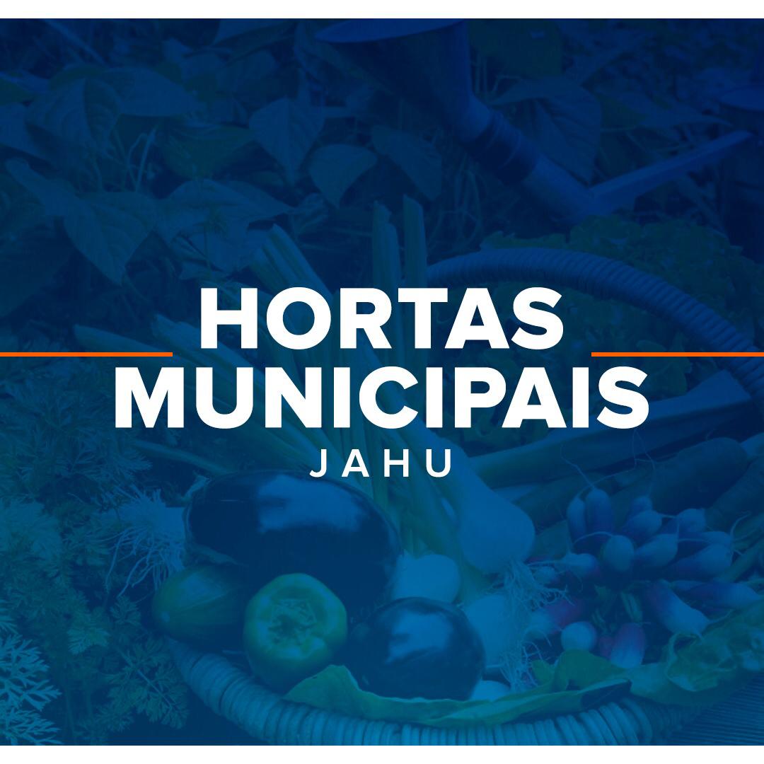 Hortas Municipais: produtos à venda na quinta-feira (29/07)